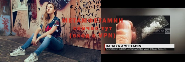 прущие грибы Заволжье