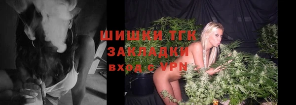 не бодяженный Заводоуковск