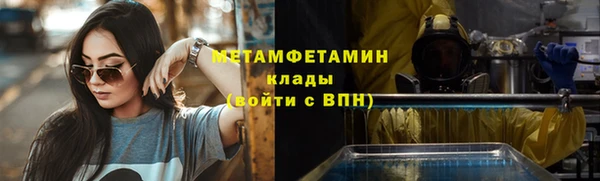 прущие грибы Заволжье