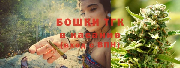 прущие грибы Заволжье