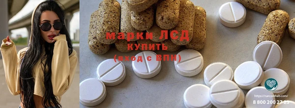 прущие грибы Заволжье