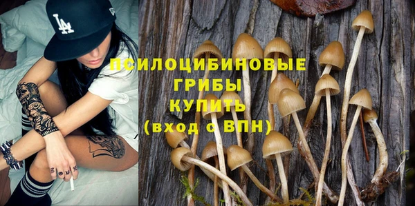 не бодяженный Заводоуковск
