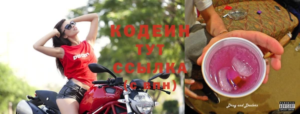 прущие грибы Заволжье